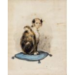 AN UNUSUAL VICTORIAN WATERCOLOUR depicting a portrait of a young girl with tabby cat body seated