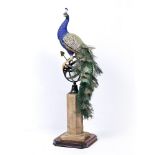 A CONTEMPORARY PAINTED CAST RESIN AND METAL WORK SCULPTURE depicting a peacock seated on an