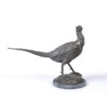 A BRONZE SCULPTURE OF A COCK PHEASANT unsigned and set on a circular stone plinth, the plinth 19cm
