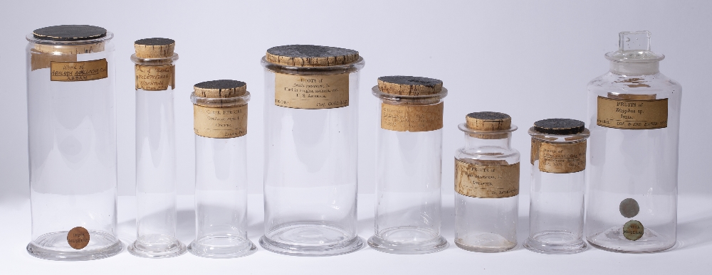 A GROUP OF EIGHT 19TH CENTURY KEW GARDENS SPECIMEN JARS AND A BOTTLE with printed and hand written