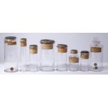 A GROUP OF EIGHT 19TH CENTURY KEW GARDENS SPECIMEN JARS AND A BOTTLE with printed and hand written