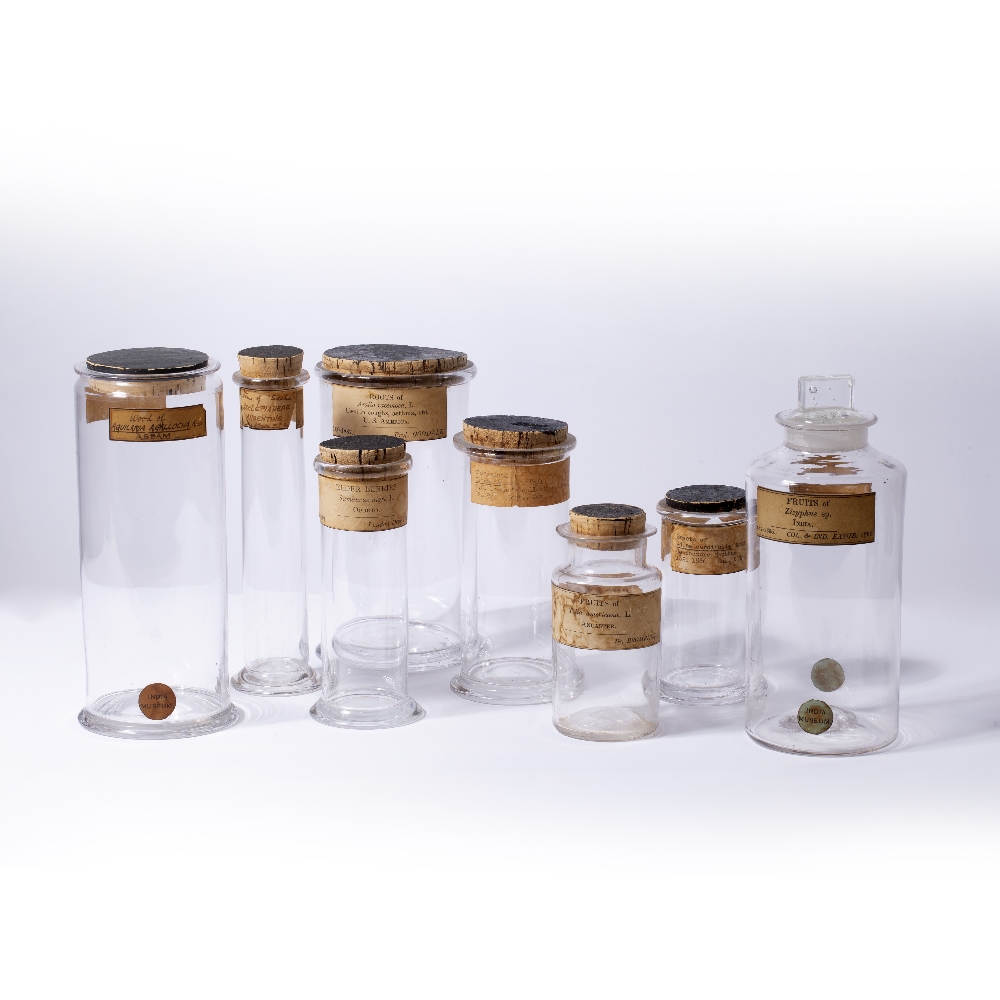 A GROUP OF EIGHT 19TH CENTURY KEW GARDENS SPECIMEN JARS AND A BOTTLE with printed and hand written - Bild 2 aus 2