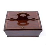 AN EARLY 19TH CENTURY MAHOGANY CUTLERY BOX with twin lidded compartment and central pierced carrying