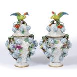 A PAIR OF LATE 19TH CENTURY MEISSEN 'SCHNEEBALLEN' VASES AND COVERS decorated with parrots and other