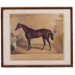 AN EARLY VICTORIAN ENGRAVED DRINKING GLASS relating to Beeswing, the racehorse, circa 1840, 9.5cm
