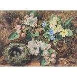 IN THE MANNER OF OLIVER CLAIRE Spring flowers and a bird's nest on a mossy bank, watercolour,