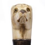 AN EARLY 20TH CENTURY HAWTHORN WALKING CANE with carved bone top in the form of a greyhound head,
