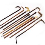 A COLLECTION OF NINE VARIOUS WALKING STICKS AND CANES some with white metal mounts and finials