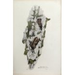 Robert Hainard (1906-1999) 'Chamais goats in Derborence' limited edition woodcut initialled and