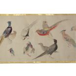 Hand scroll Japanese, late 19th Century Makemono, painted with birds, signed 20cm x 260cm approx