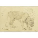 William Strutt (1825-1915) 'The Lioness' watercolour, signed and dated lower left 17.5cm x 27cm