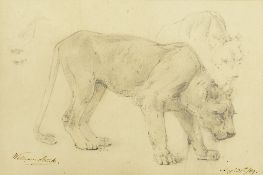 William Strutt (1825-1915) 'The Lioness' watercolour, signed and dated lower left 17.5cm x 27cm