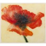 Felise Dumas (Contemporary) 'Poppy blow-up II' etching, numbered 3/6, signed in pencil lower