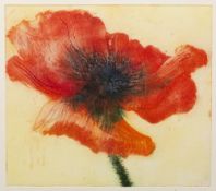 Felise Dumas (Contemporary) 'Poppy blow-up II' etching, numbered 3/6, signed in pencil lower