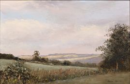 Valarie Chilton (Contemporary, British) 'Summer rain over Edgeworth' oil on panel, signed lower