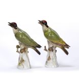 Two Meissen models of woodpeckers late 19th Century, modelled perched on tree stumps with the