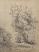 In the manner of John Constable (1776-1837) pencil sketch of trees, with an initial lower right 25cm