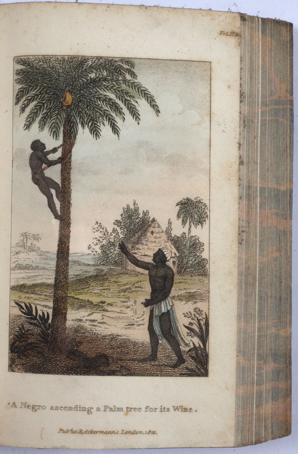 Book Schoberl, Frederic The World in Miniature. Africa, containing a description of the manners - Image 4 of 4