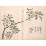 Chinese school 19th Century pen and ink on paper, depicting Osmanthus blossoms, inscribed "Osmanthus