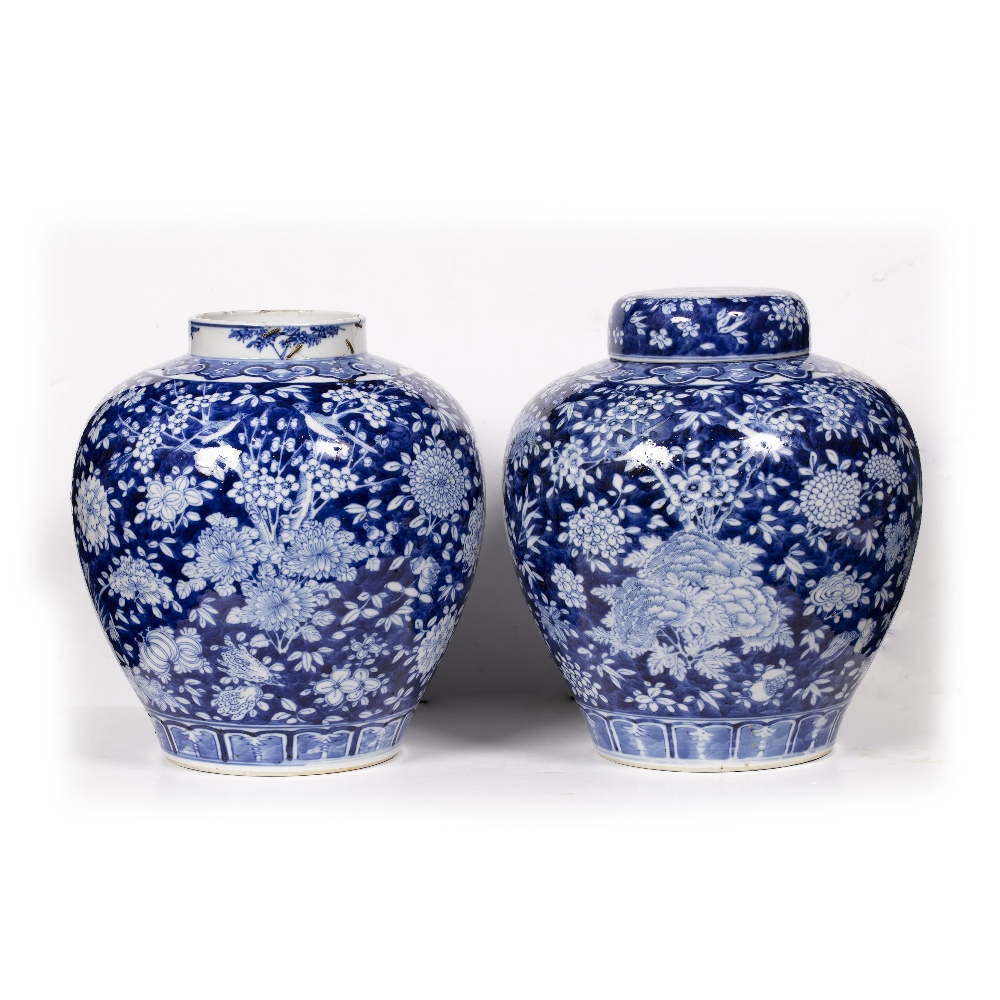 Pair of blue and white jars Chinese, 19th Century decorated citrus fruit (Buddhist hand) and