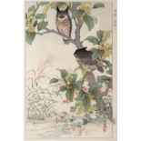 Kono Bairei (1844-1895) 'Osmanthus and owl' Japanese woodblock print, 36cm x 25cm