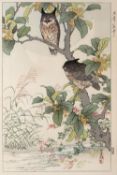Kono Bairei (1844-1895) 'Osmanthus and owl' Japanese woodblock print, 36cm x 25cm