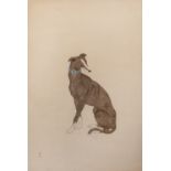 Study of a hound Chinese pencil and ink, depicted sitting with his head turned, in a contemporary