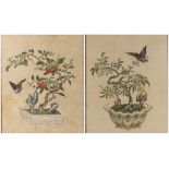 Pair of painted pictures on silk Chinese, 20th Century depicting fruiting plants from archaic
