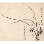 Chinese school 19th Century monochrome study, depicting lilies, with inscriptions to the page