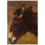 19TH CENTURY ENGLISH SCHOOL Head study of a donkey, inscribed 'Whiting' verso, oil on canvas, 53.5 x