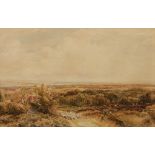 THOMAS COLLIER (1840-1891) Heathland with sheep and cattle, signed, watercolour, 32 x 49.5cm