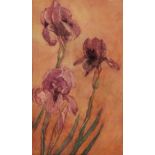 LOUIS DAVIS (exh. 1897-1911) Irises, signed with monogram, watercolour, 41.5 x 24cm Inscribed