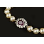 A CULTURED PEARL NECKLACE WITH RUBY AND DIAMOND CLASP, the single strand of uniform cultured