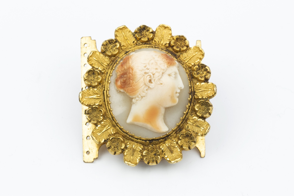 A 19TH CENTURY SHELL CAMEO CLASP, the oval shell cameo carved to depict a classical female