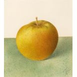 Anthony Gilbert (1916-1995) Apple Study V, 1990 signed and dated in pencil (lower right) mixed