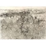 Anthony Gross (1905-1984) '''Winter Grasses''', 1972 53/70, signed, titled and numbered in pencil (