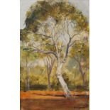 Hans Heysen (1877-1968) Young Gums, 1959 signed (lower right) textured watercolour and gouache on