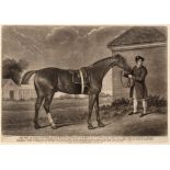 After George Stubbs "Eclipse, the Property of Captain O'Kelly" mezzotint published 1904 by Laurie