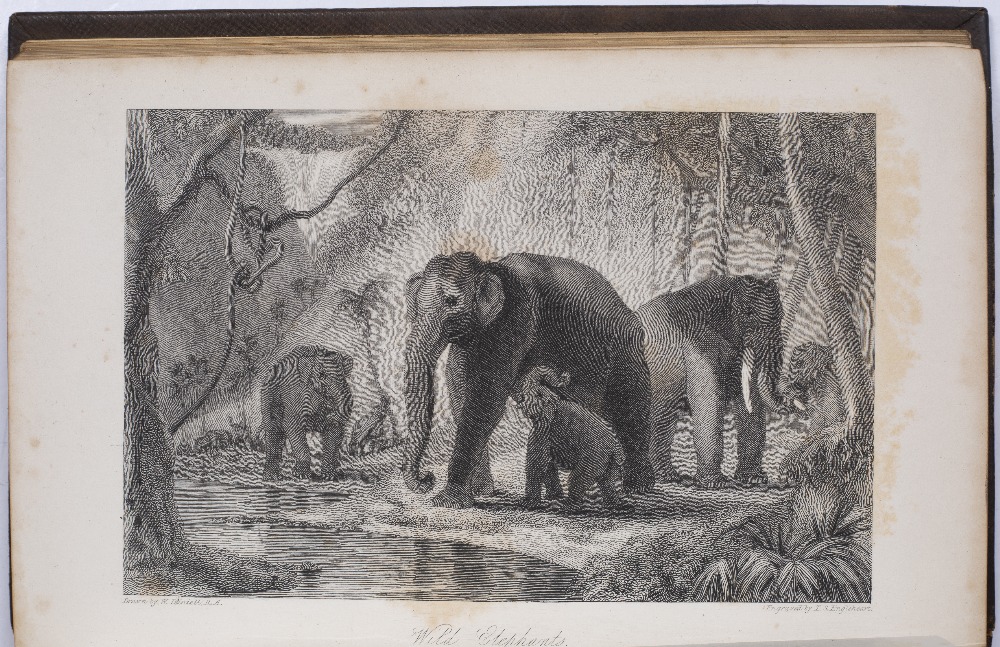 BULL, Edward, pub. The Oriental Annual or Scenes in India, 1834-1836, 3 volumes with drawings from - Image 6 of 7