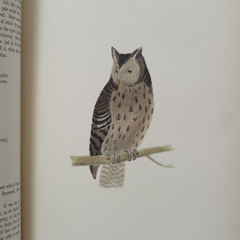 MORRIS, Rev. F.O. A History of British Birds, Nimmo, London, 1903, 5th edn. In 6 volumes. 3to. ( - Image 5 of 7