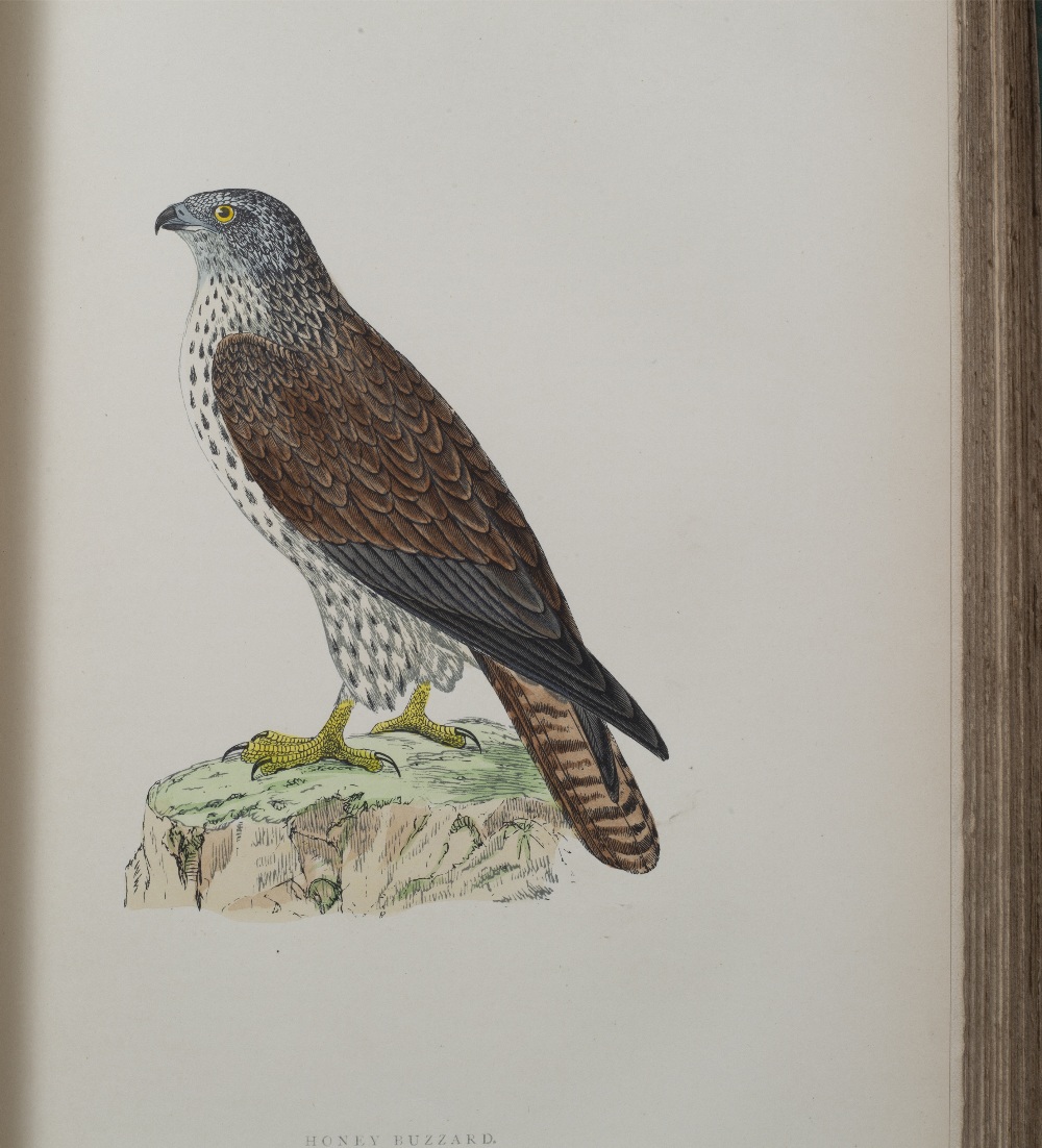 MORRIS, Rev. F.O. A History of British Birds, Nimmo, London, 1903, 5th edn. In 6 volumes. 3to. ( - Image 4 of 7