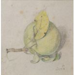 Maxwell Armfield (1882-1972) Study of an apple, 1956 signed and dated (lower right) watercolour 15 x