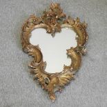 A ornate gilt framed wall mirror, 120 x 64cm overall, together with a brass fender,