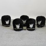 A collection of five marching band style hats