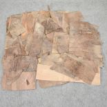 A collection of wood veneers
