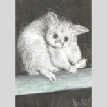 Alison Elliot, contemporary, Toshka Possum, signed and dated '97, illustration in pen,