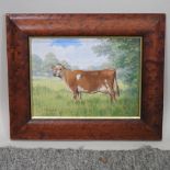 Glynn Williams, b1939, a study of a cow standing in a landscape, signed oil on board,