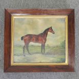 English school, 20th century, bay mare, oil on canvas,
