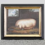 J Box, 20th century, prize pig, oil on canvas laid on board,