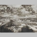 Peter Zirk Nel, 1935-1985, Wild Landscape, etching, 39 x 50cm,